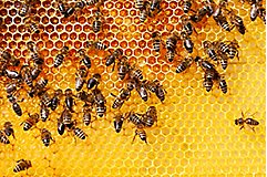 IMG-AdobeStock_272656231