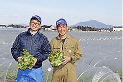 べと病のまん延を防ぐ。レタス・キャベツの安定供給を支える「ゾーベック™ エンカンティア™」