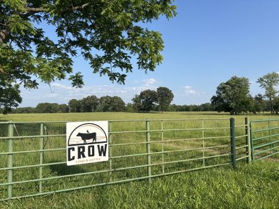 Crow farm sign