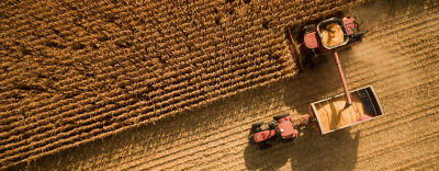 Harvesting