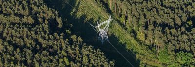 trees around hydro lines