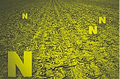 Nitrogen Stabilizers graphic