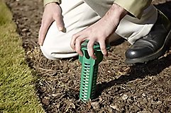 Pest Management