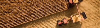 Fall corn harvest