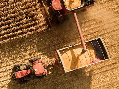 Harvest at sunset