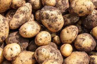 potatoes