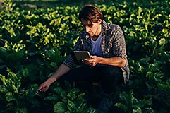IMG_Farmer_inspecting_plants_GL