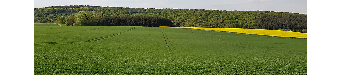 Inatreq_header_yellow_desktop