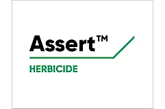 Assert logo