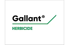 Gallanr Logo
