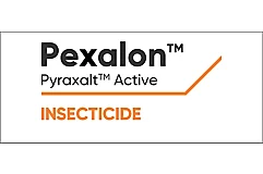 Pexalon Logo