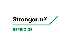 Strongarm Logo