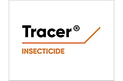 Tracer Logo