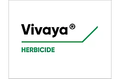 Vivaya Logo