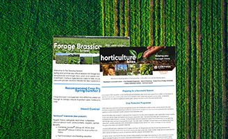 image of newsletters
