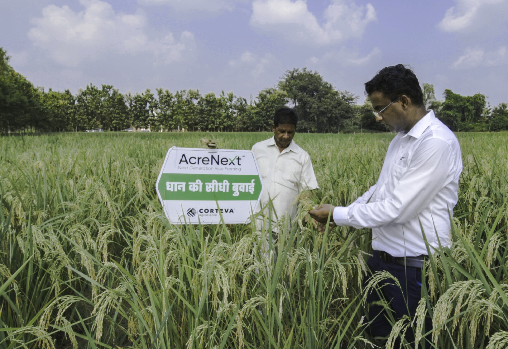Two men standing in a lush rice field, one holding a sign that reads 'AcreNext' by Corteva, inspecting the crop under a partly cloudy sky.