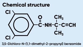The chemical structure of 3,5-Dichloro-N-(1,1-dimethyl-2-propynyl) benzamide on light blue background.