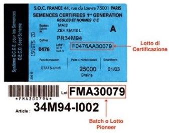 cartellino francese