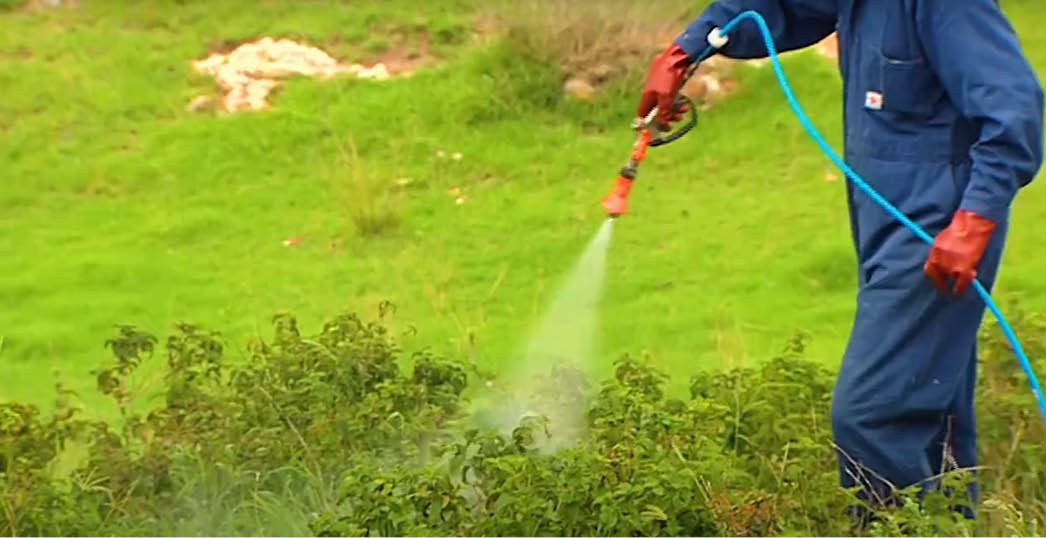 Application - Spraying at the right time