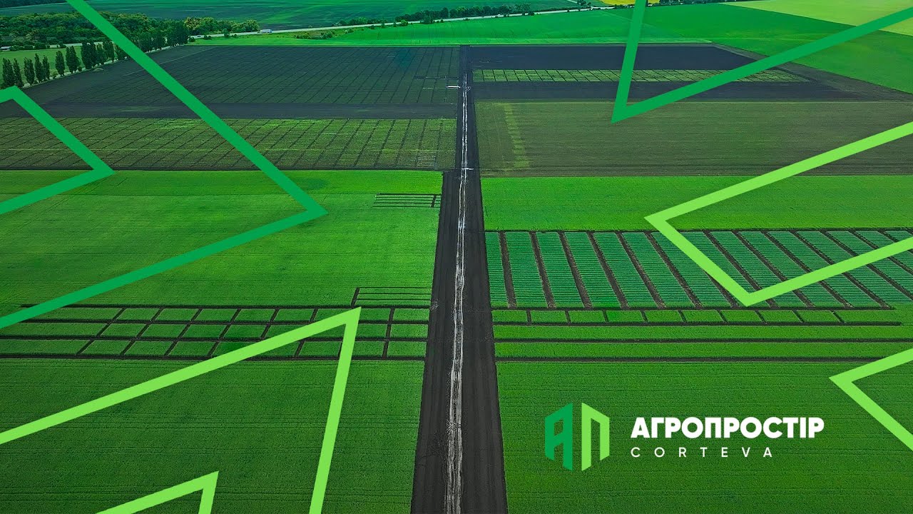 Агропростір Corteva. Епізод 2. Кукурудза та соняшник: огляд демоділянок. Досліди на культурах.