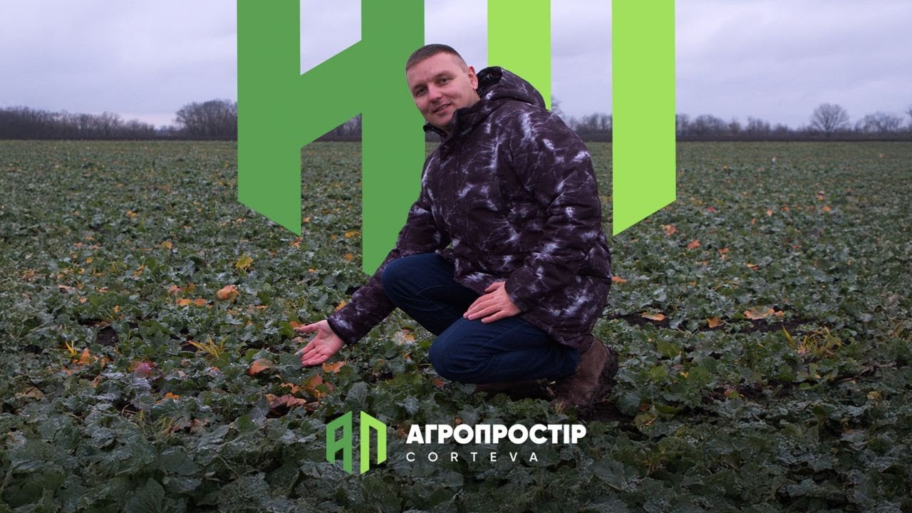 Агропростір Corteva. Епізод 10. Догляд за ріпаком озимим на ранніх етапах вегетації.