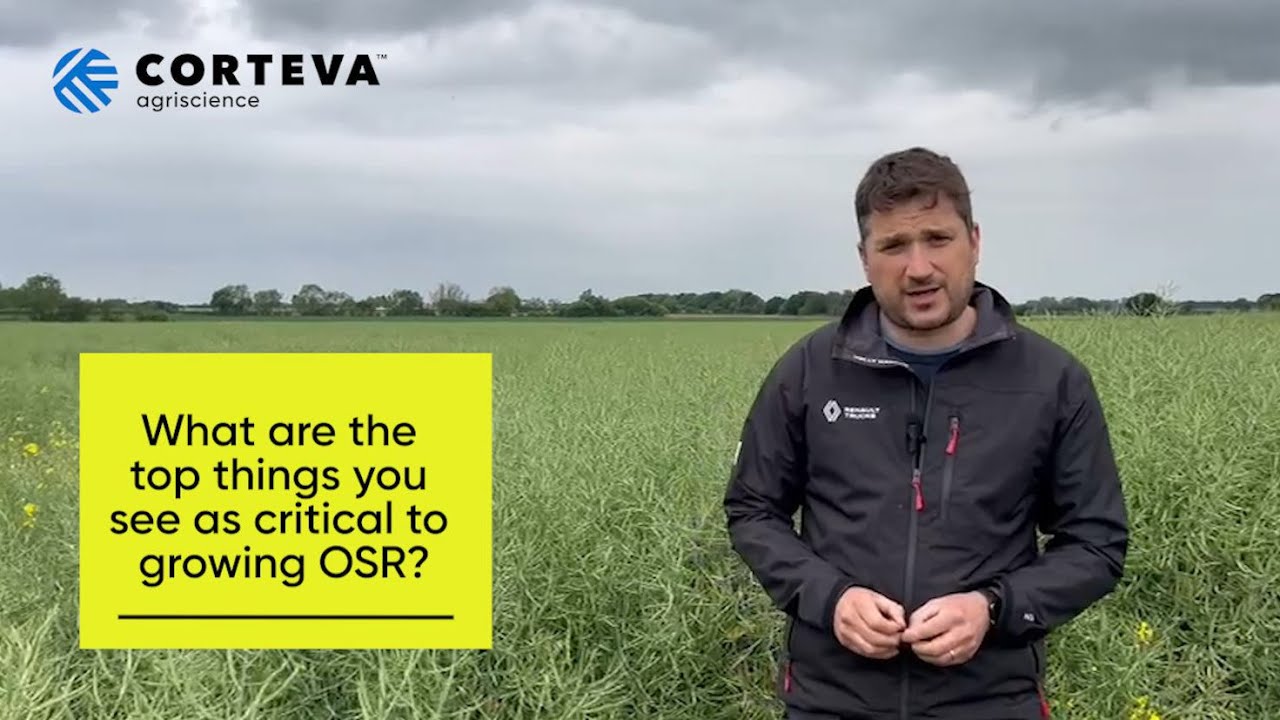 Let's talk about oilseed rape with David Marsland