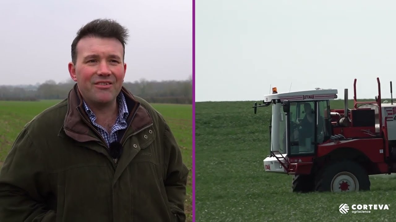 Early-season fungicide programmes: Key considerations for 2025