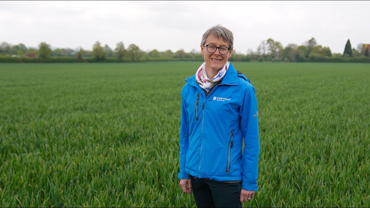Septoria and rust disease update with Corteva's Technical Manager, Sally Harris