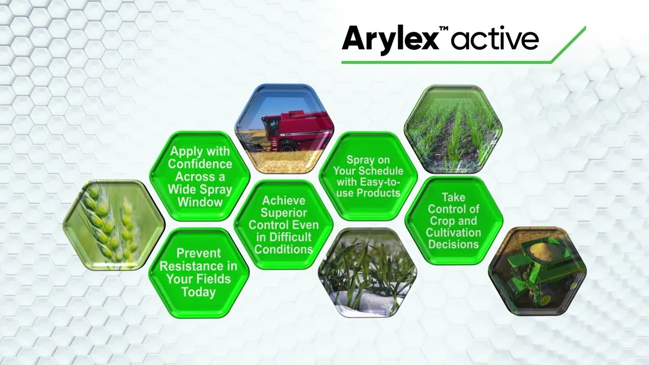 How to plan a robust herbicide programme The advantages of Arylex™ active