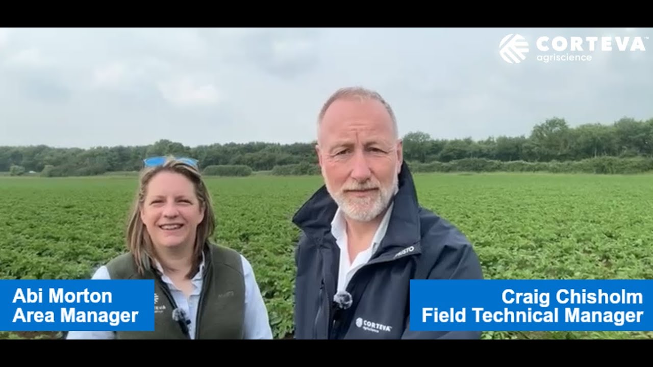 Potato crop update #2: Rapid Growth stage applications of Zorvec™ Entecta and BlueN™ considerations
