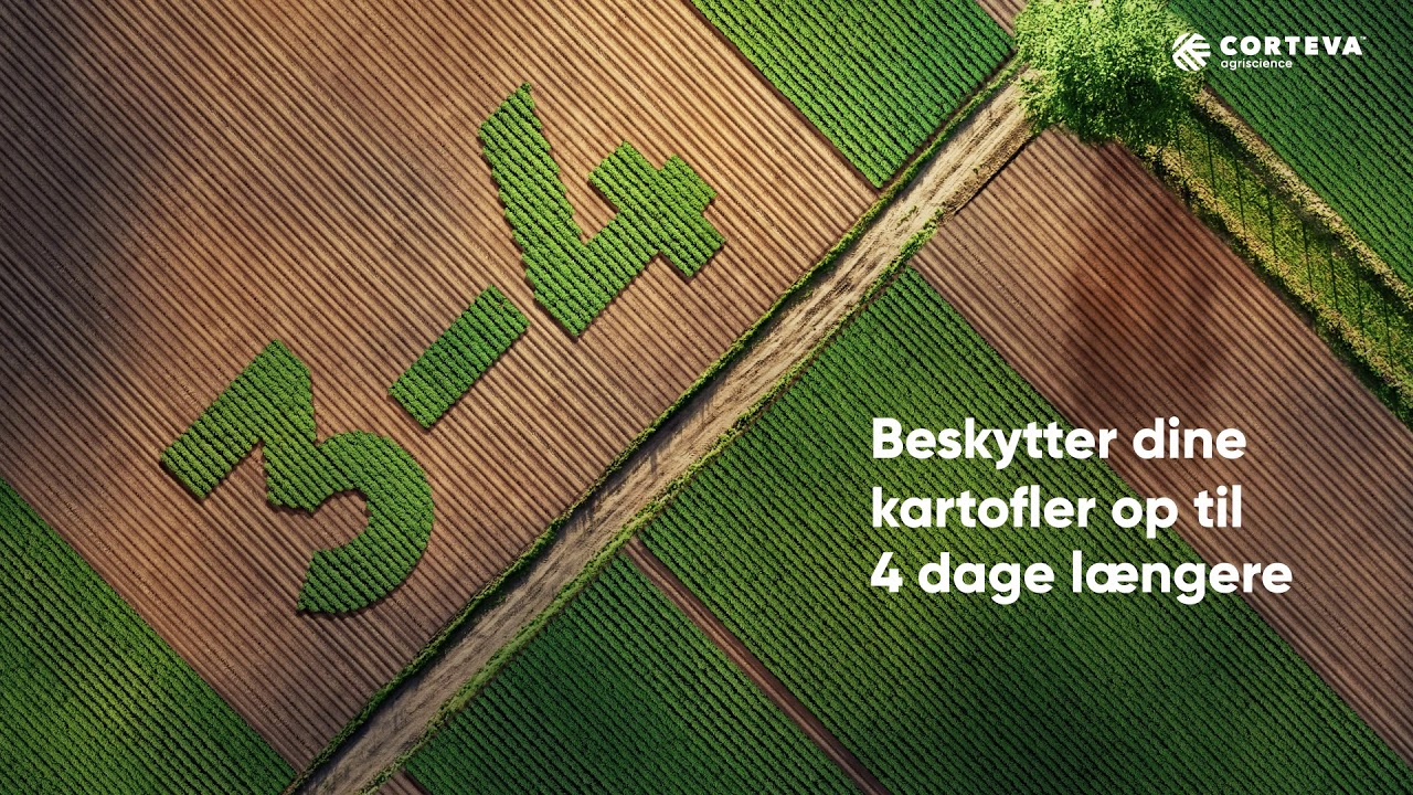 Zorvec er et effektivt svampemiddel mod kartoffelskimmel.