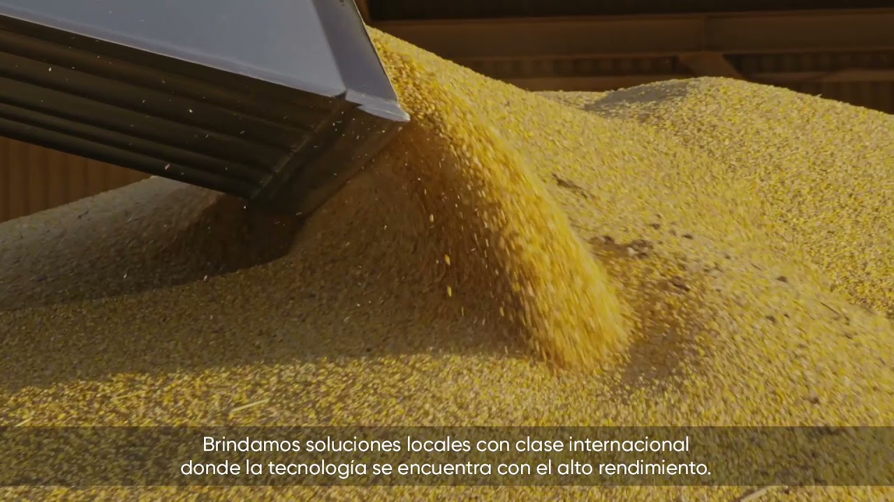 Pioneer, la ciencia de los altos rendimientos.