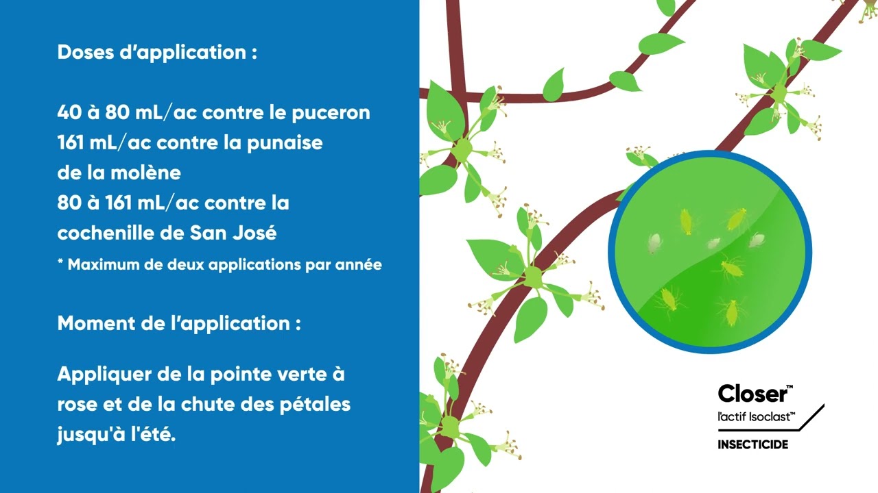 Protégez vos cultures de fruits à pépins
