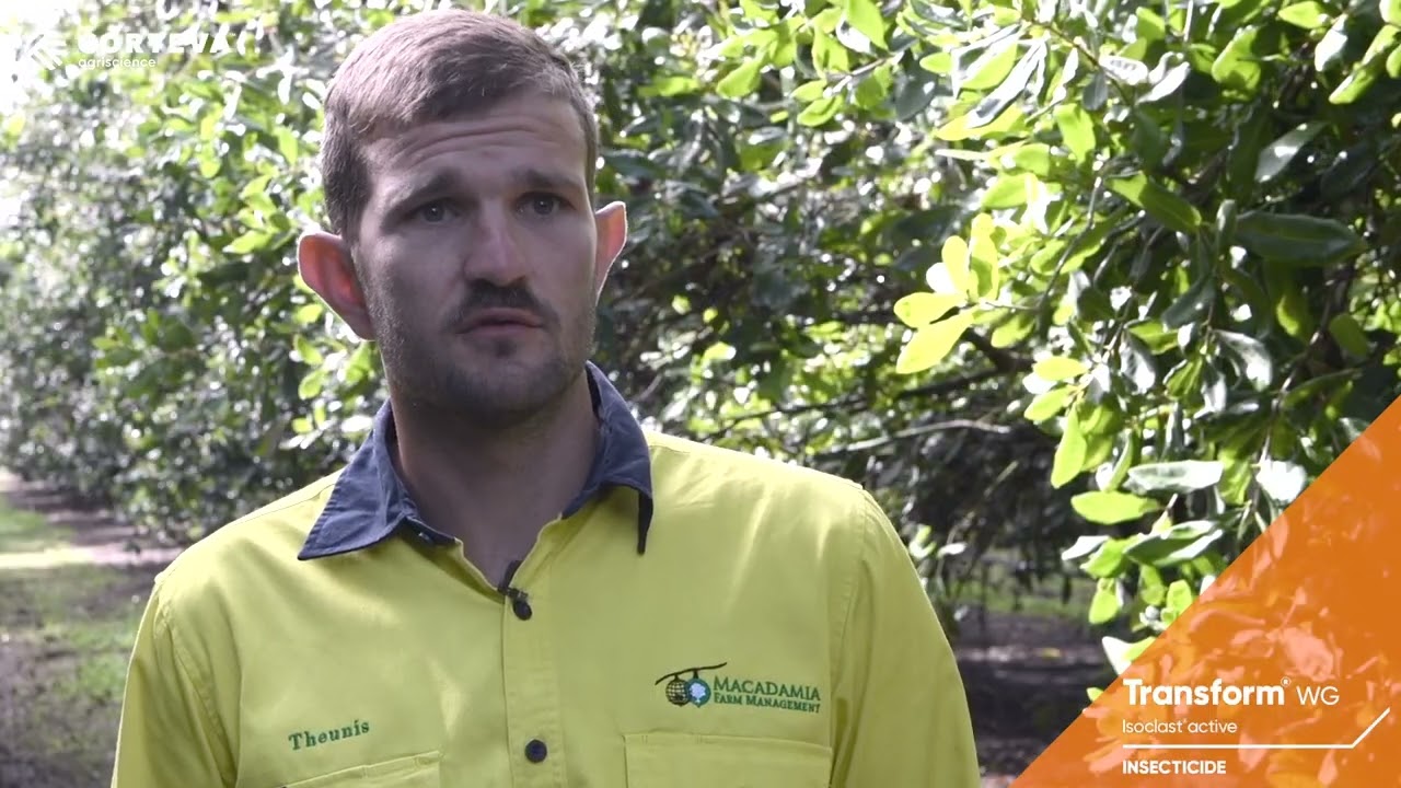 Integrated Bug Management in Macadamias