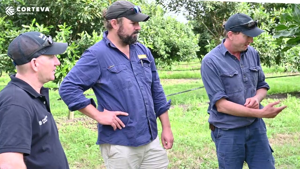 IPM in Macadamias: Jonathon McDonald & Andrew Lewis