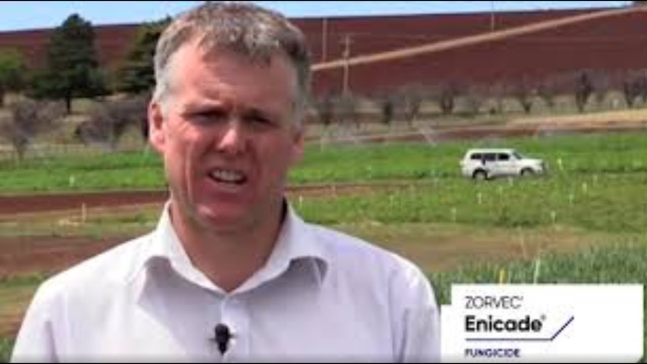 Zorvec Enicade Onion Grower Field Testing in Tasmania, Australia