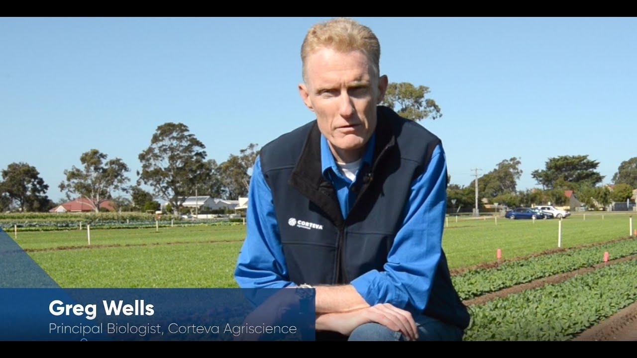 Zorvec Enicade East Gippsland Field Day & More