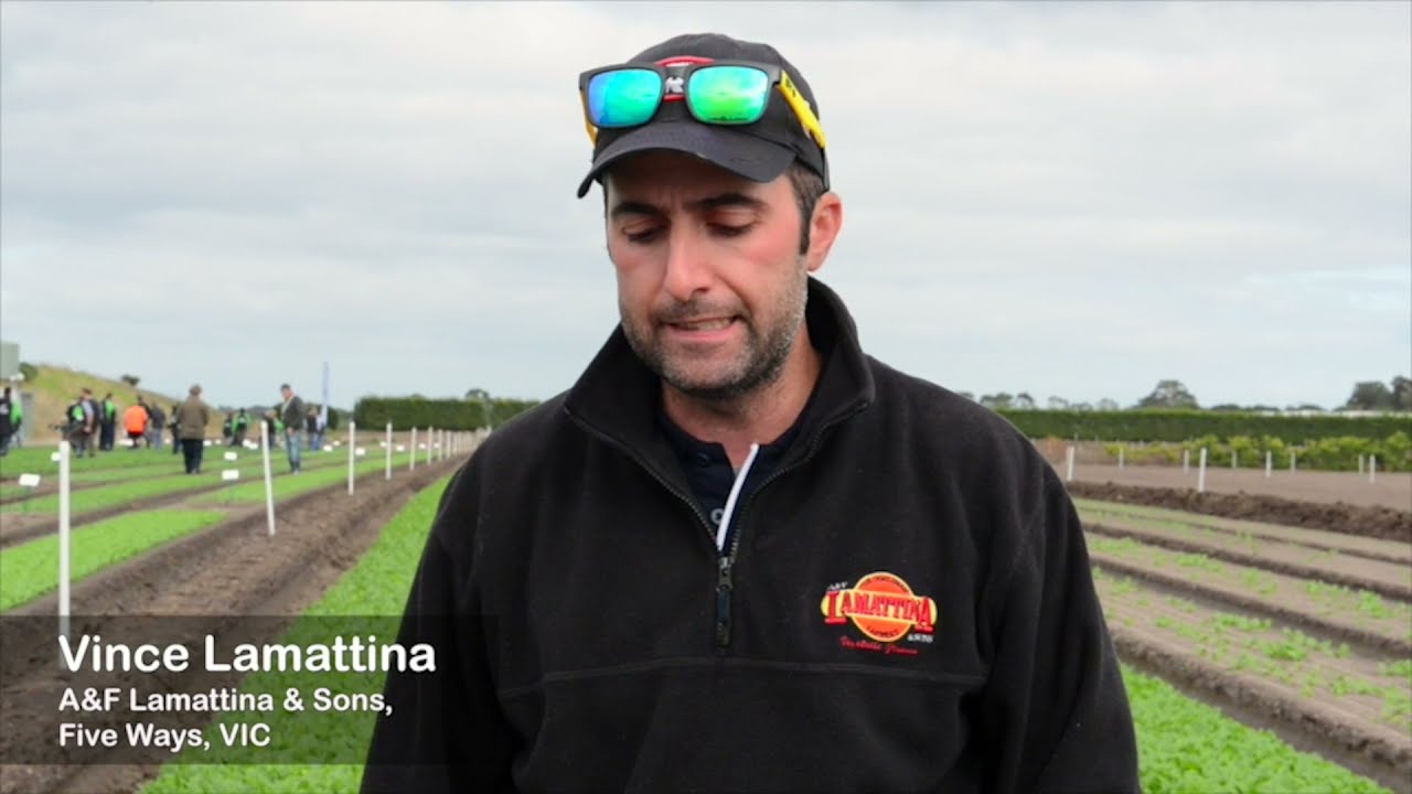 Zorvec Enicade Growing Reputations - Leafy Veg - Vince Lamattina