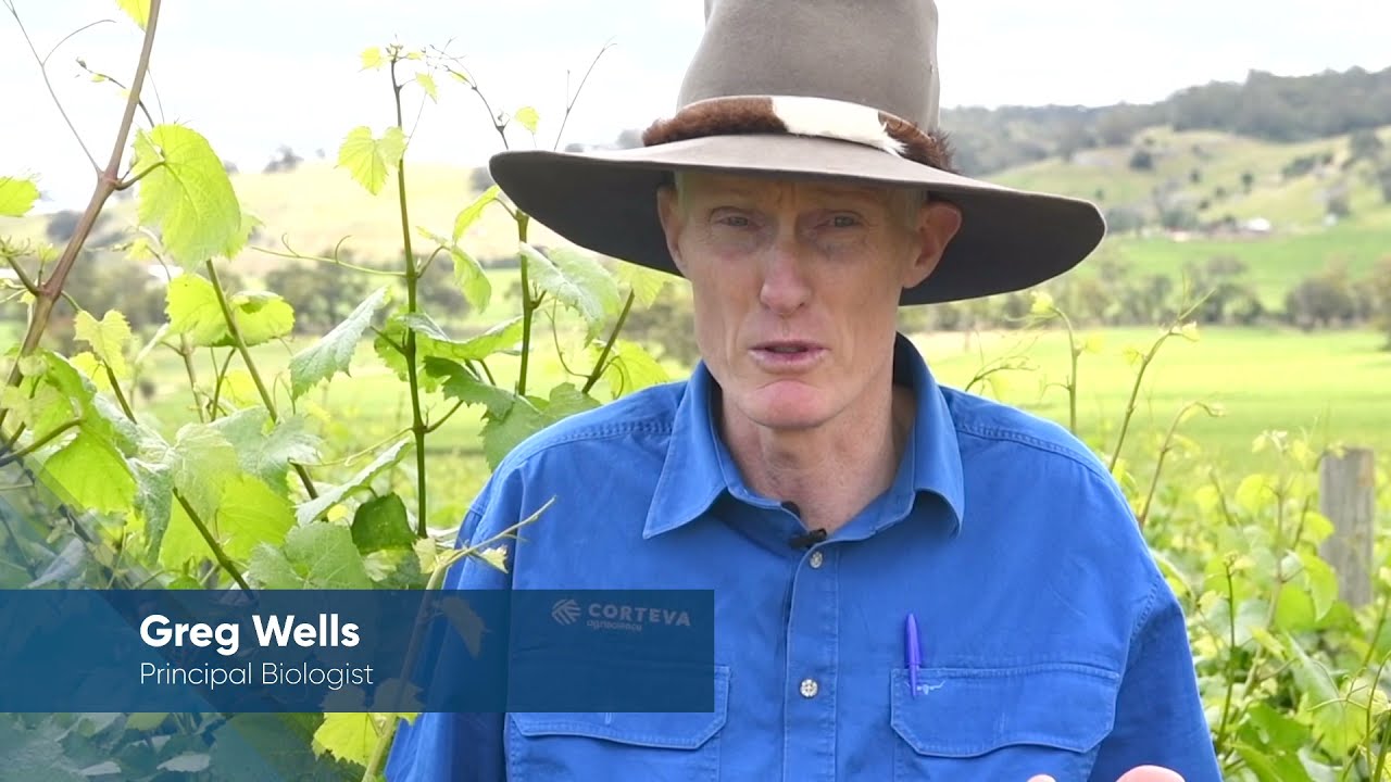 Greg Wells talks about GrowPlus Rewards, our Viticulture Loyalty Program