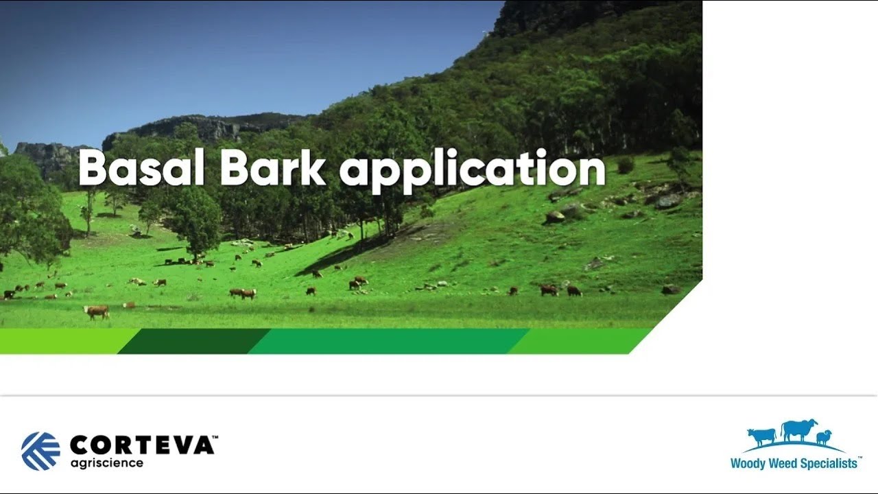Application Technique - Basal Bark