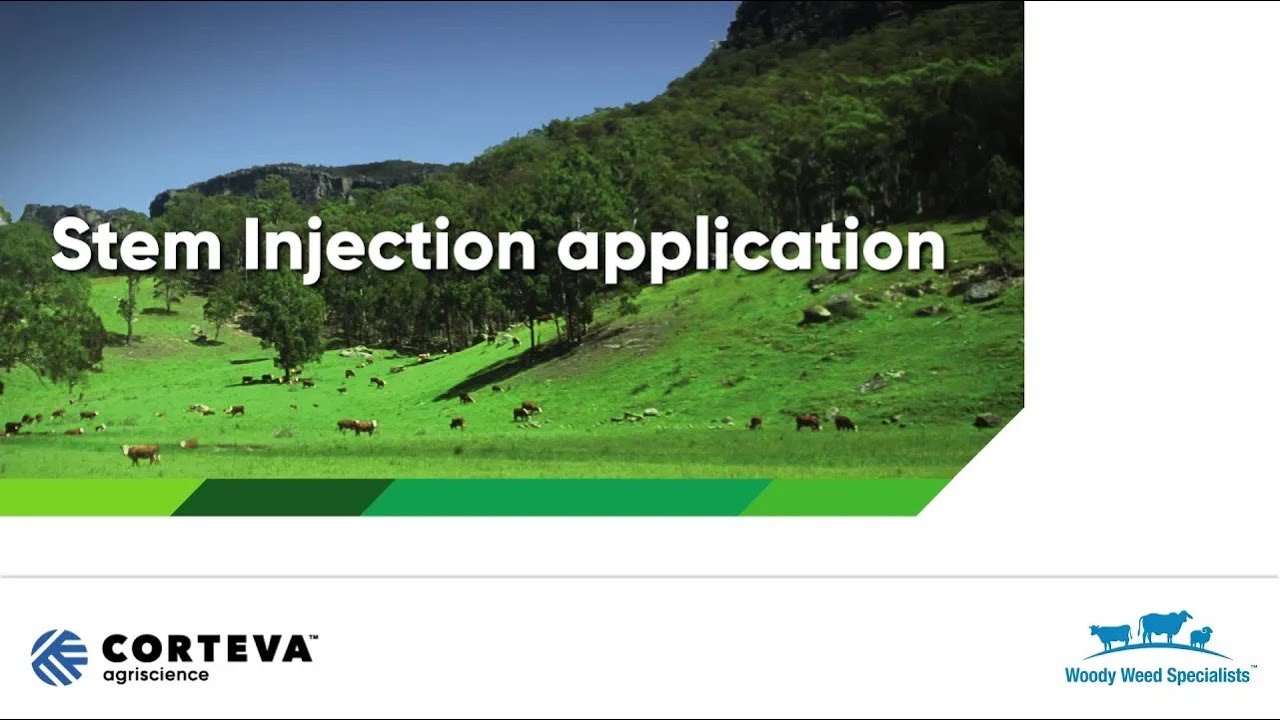 Application Technique - Stem Injection