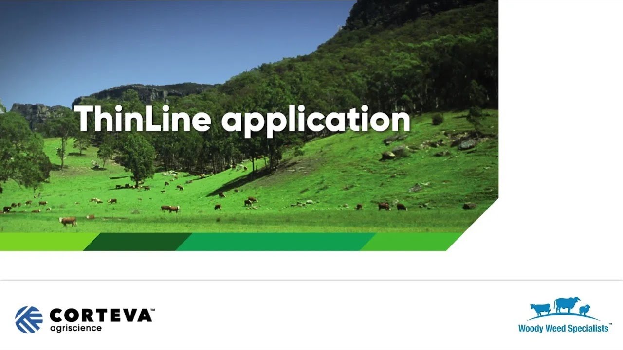 Application Technique - Thinline application