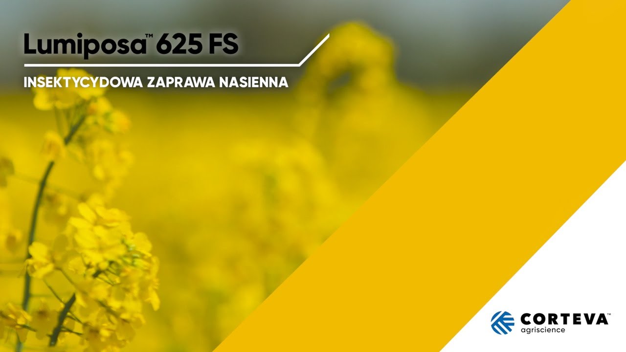 Lumiposa™ 625 FS to najbardziej kompleksowa insektycydowa zaprawa nasienna