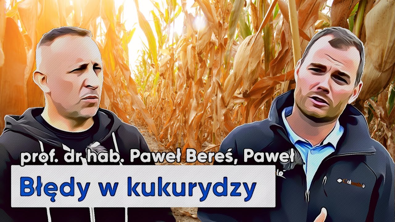 Jak unikać błędów w kukurydzy? Szkodniki glebowe problemem w rolnictwie | e-pole do popisu #124