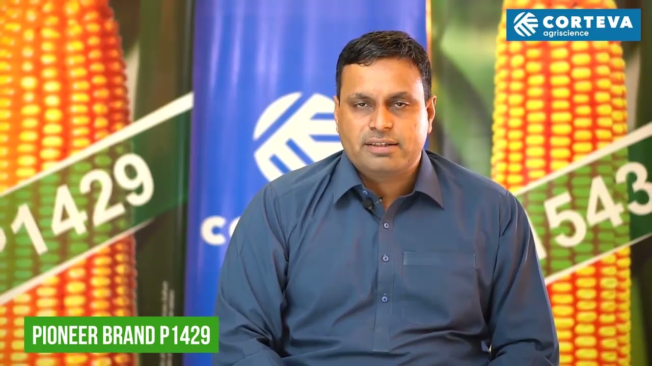 P1429 Depalpur testimonial