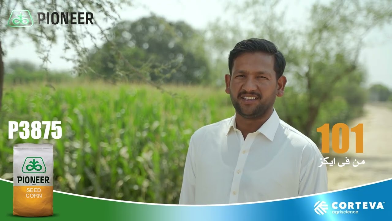 Testimonial P3875 Hybrid - Muhammad Arslan - Khoi Wala