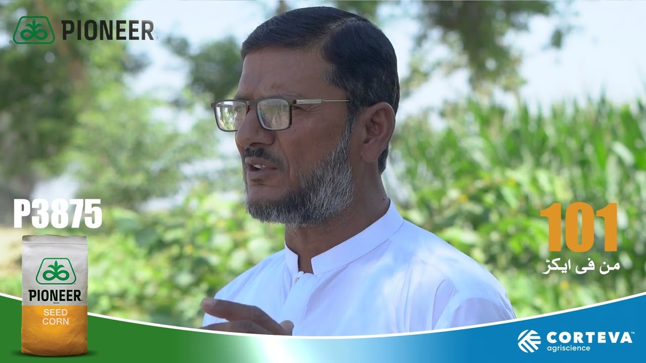 Testimonial P3875 Hybrid - Haji Nazeer Ahmed - Mailsi