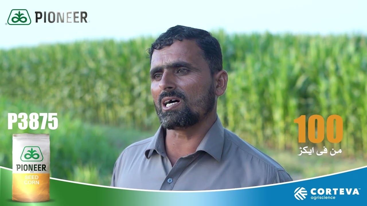 Testimonial P3875 Hybrid - Malik Muhammad Javed - Qasba Awal