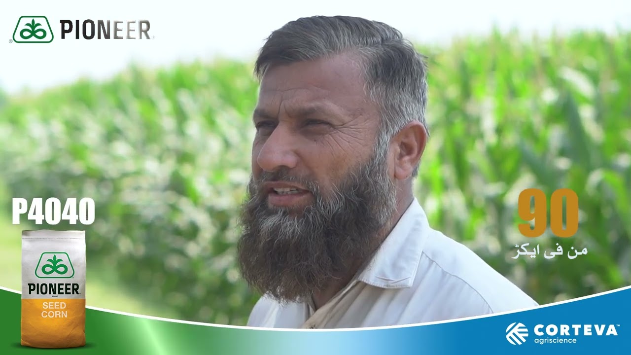 Testimonial P4040 Hybrid - Muhammad Tahir - Multan