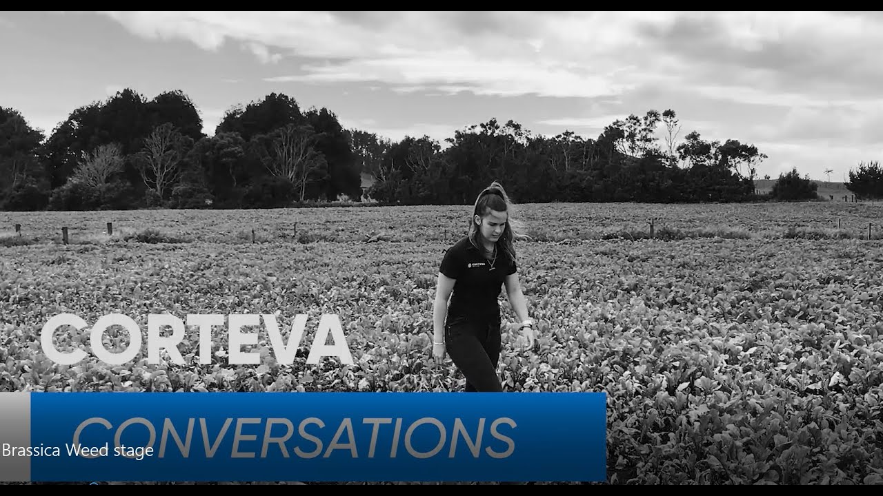 Corteva Conversations - Post Em timing on Forage Brassica crops.